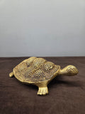 Brass Tortoise