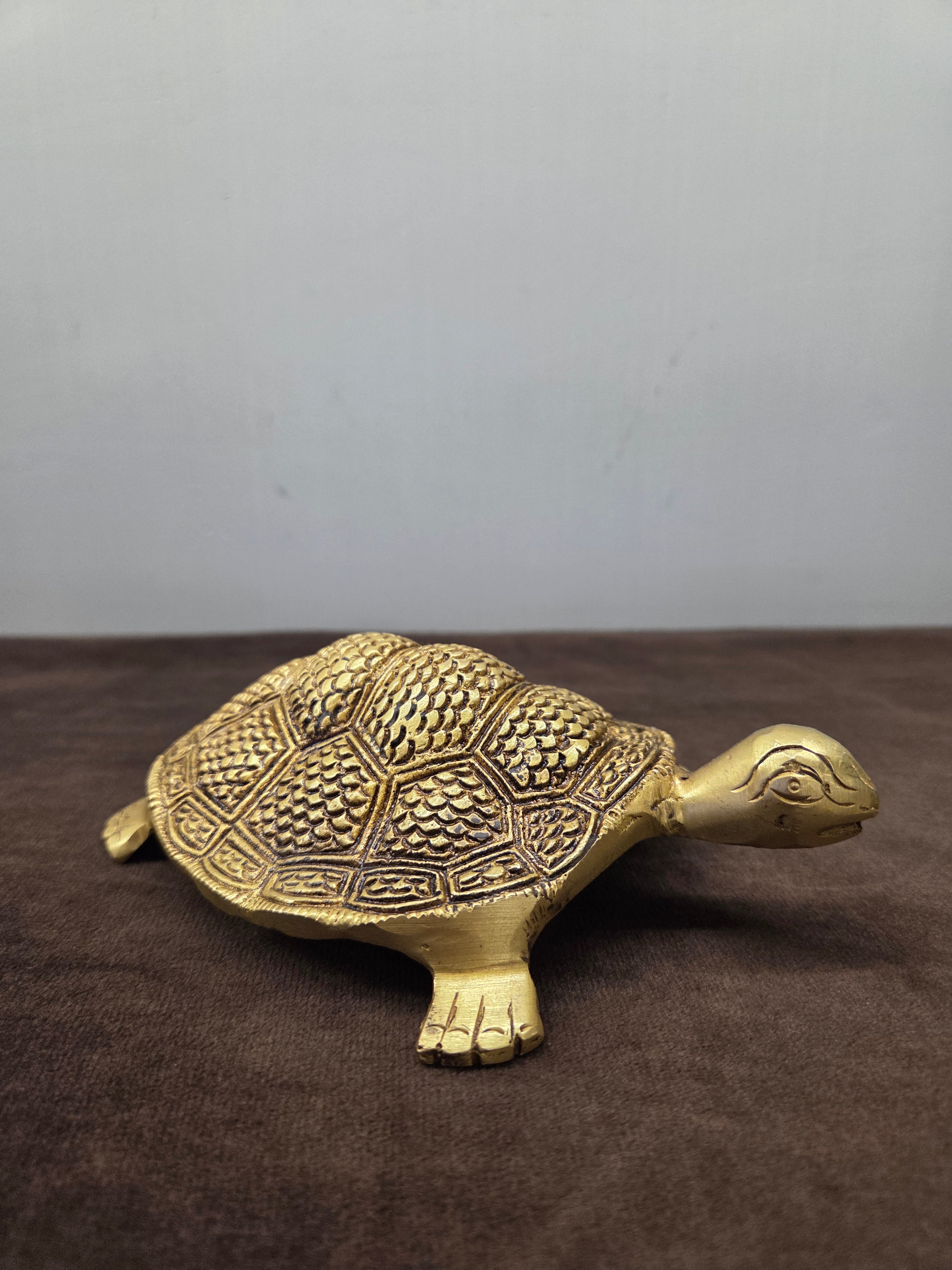 Brass Tortoise