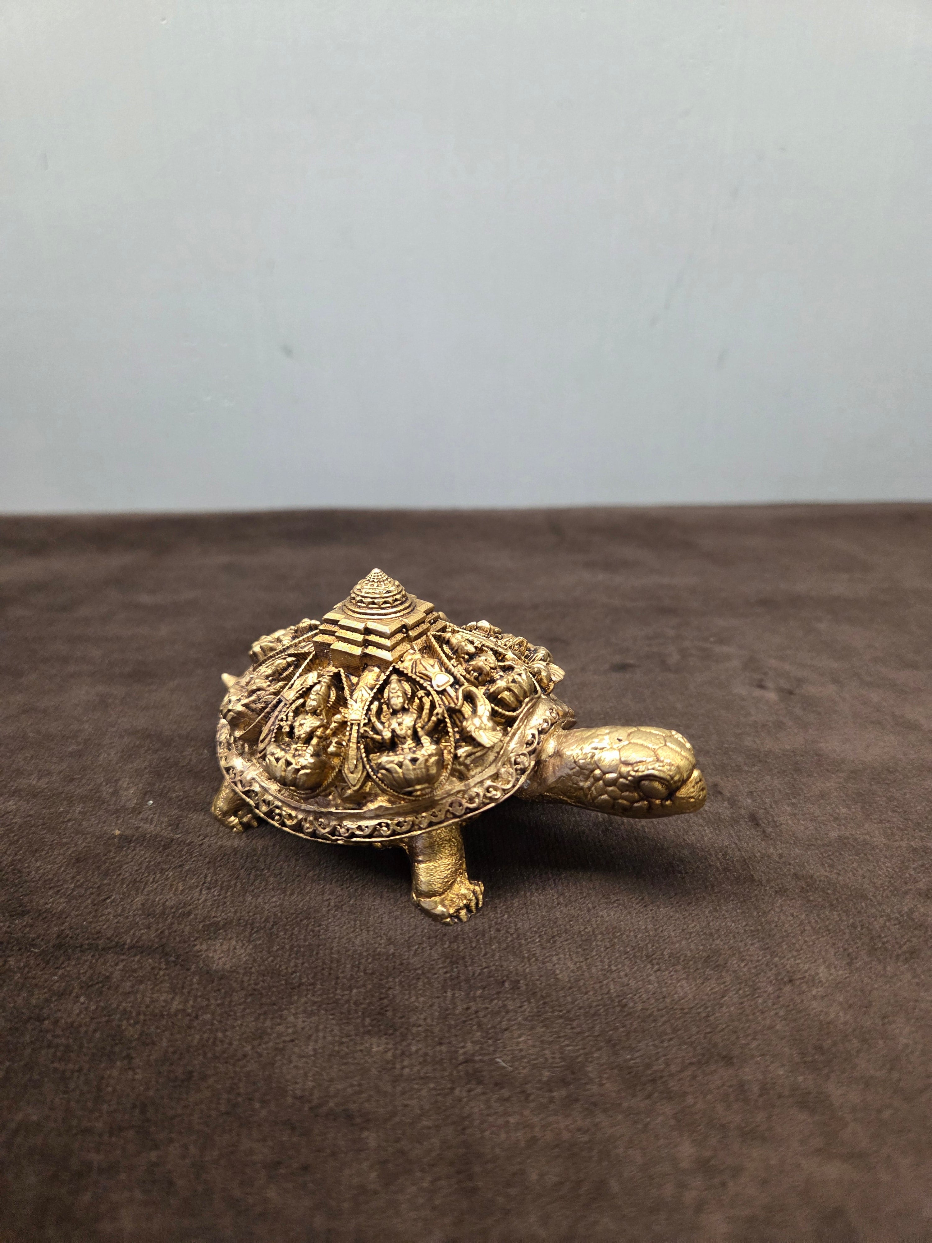 Brass Tortoise